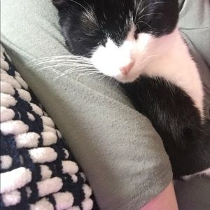 Meet your Posher, Colleen